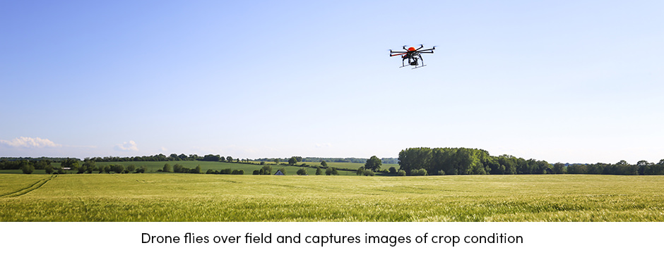Drone Flies over Field