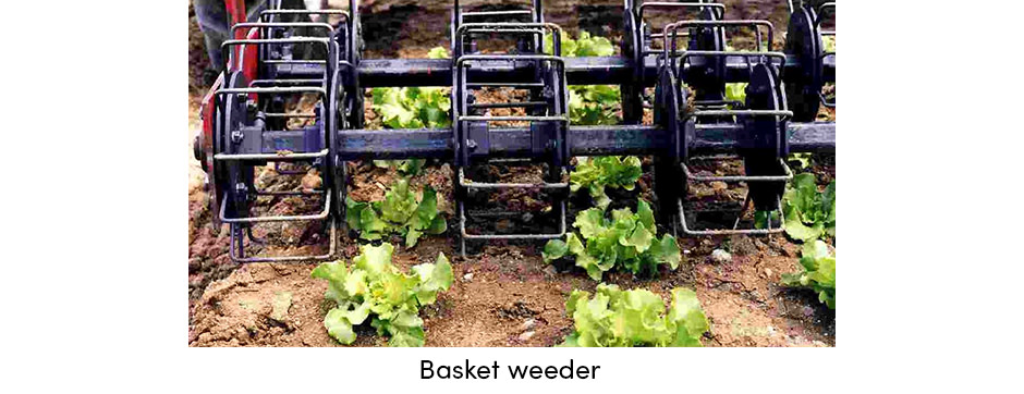 Basket Weeder