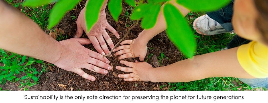 Sustainability is Safe Direction