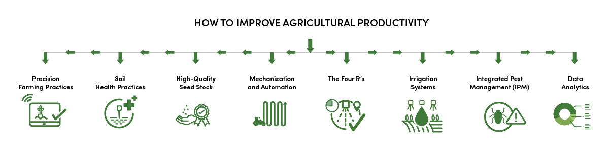 How to Improve Agricultural Productivity