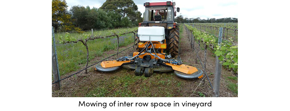 how-can-regular-crop-maintenance-provide-stable-yields5