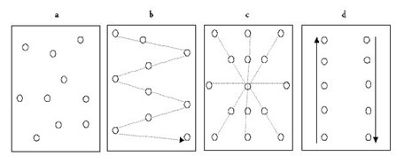 Image of Soil Analysis dig pattern