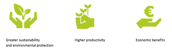 Producing More with Less