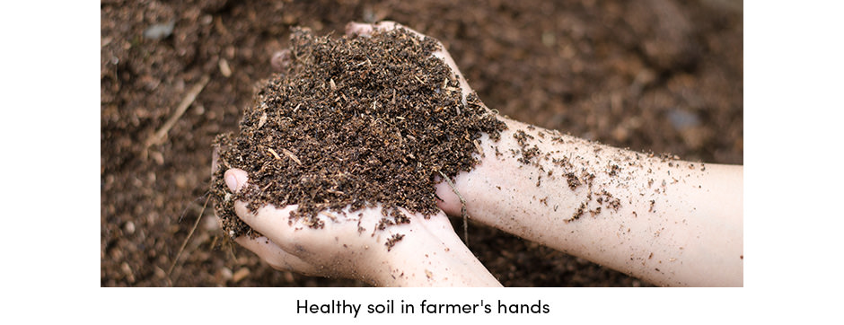 ensure-better-soil-performance-by-keeping-your-soil-healthy-1