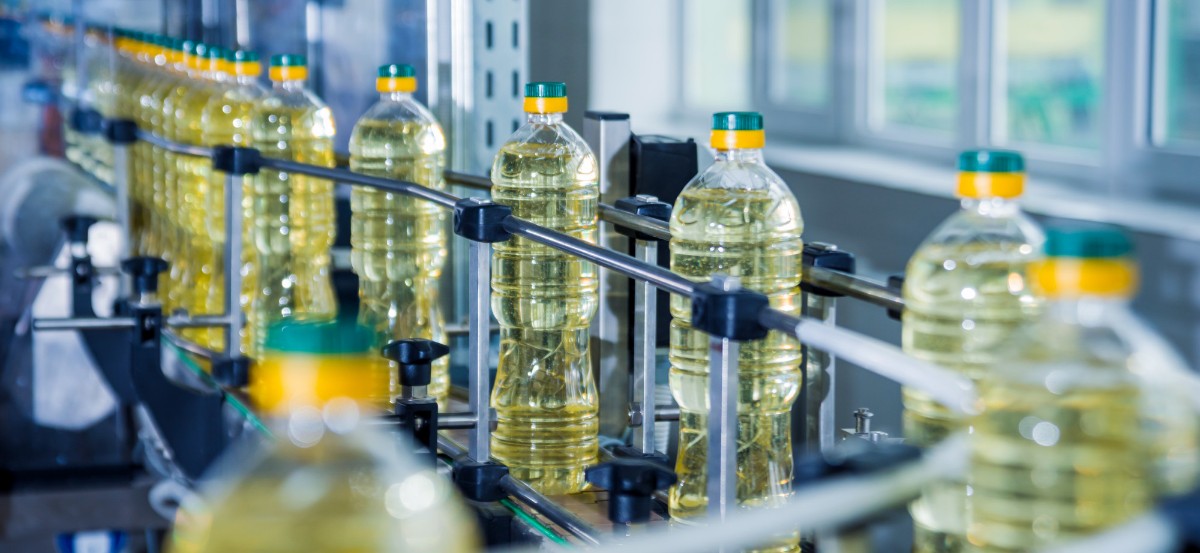 Bottling line of sunflower oil in bottles. vegetable oil production plant. high technology. 