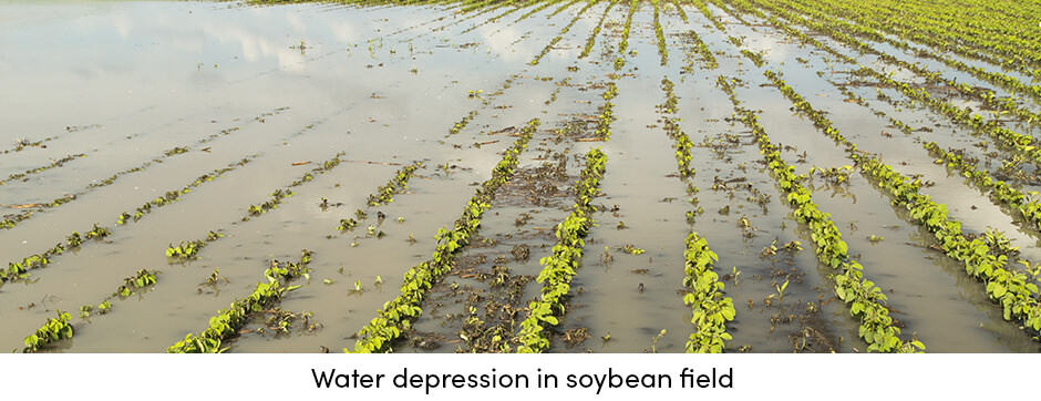 how-can-regular-crop-maintenance-provide-stable-yields7