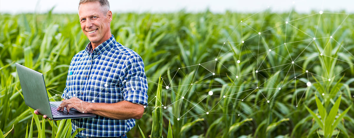 AGRIVI Transparency Key Factor