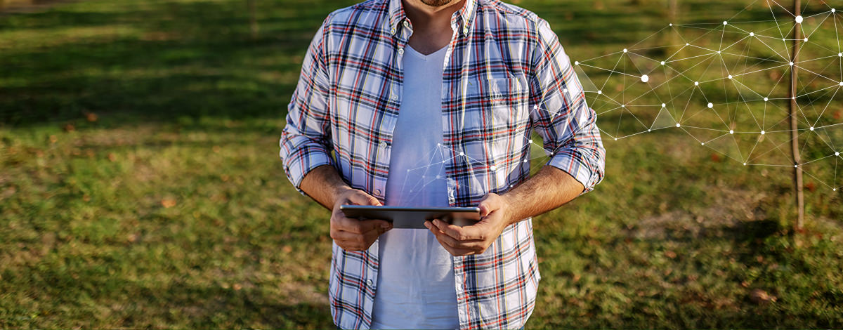 Digital Agriculture-Crop Anomalies-AGRIVI