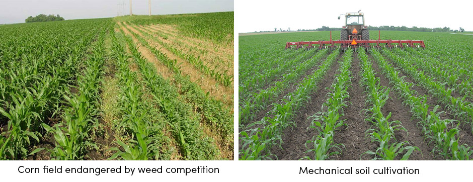 Mechanical Soil Cultivation