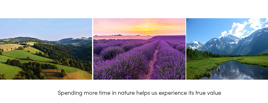 Spending more time in nature