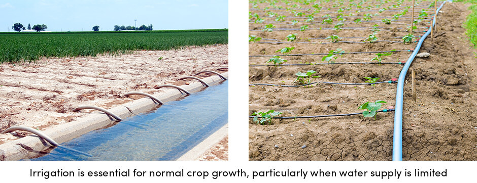 how-can-regular-crop-maintenance-provide-stable-yields4