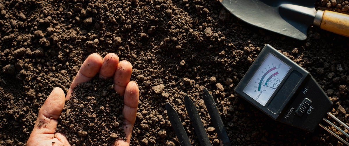 The fertile loam soil was in the hands of the man and the farming equipment was placed in it.