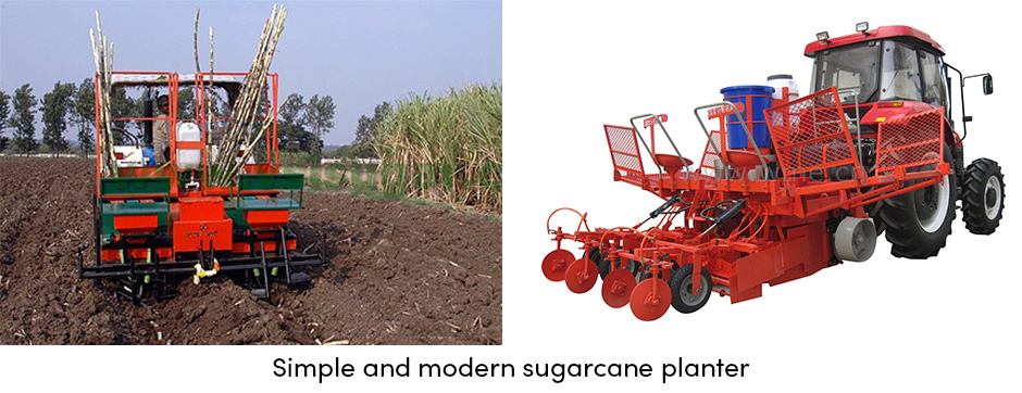 Sugarcane Planters