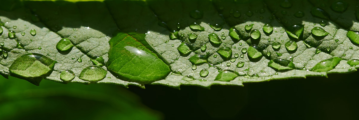 Water-Sustainability-Farming