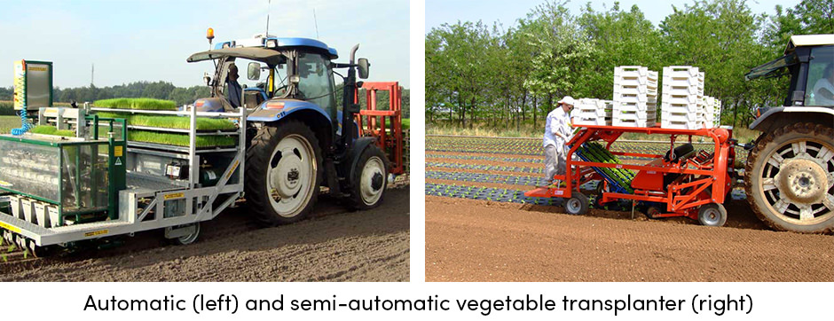 Vegetable Transplanters