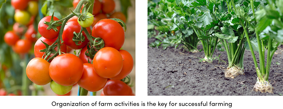 Organization Is the Key to Successful Farming1