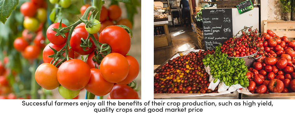 Boosting Farm Business Performance 2