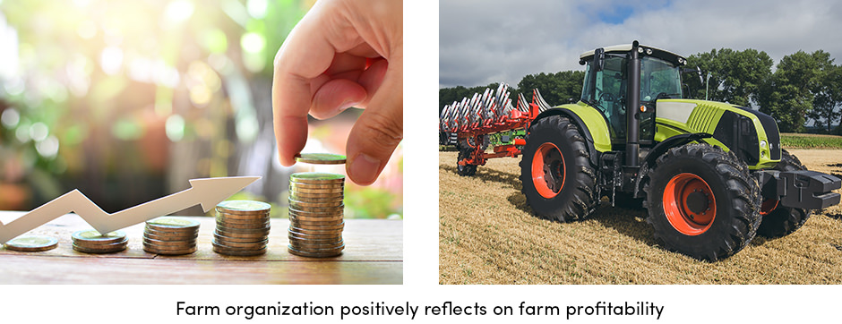 Organization Is the Key to Successful Farming5