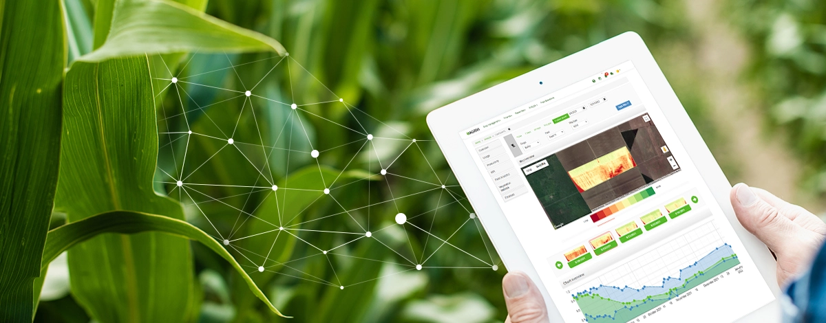How AGRIVI Helps Farmers