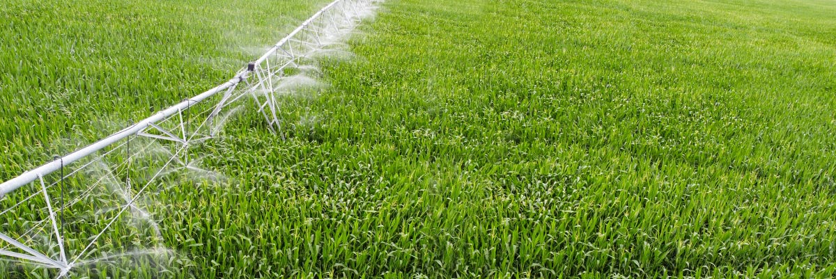 Water Sustainability