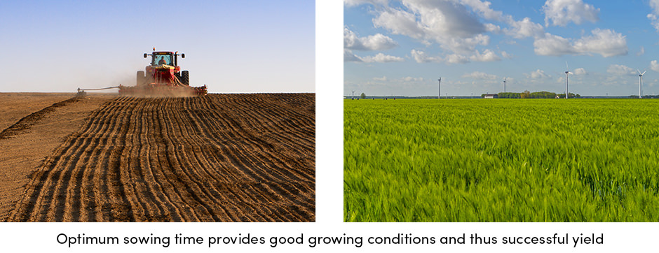 Sowing a field with a tractor for optimal growth