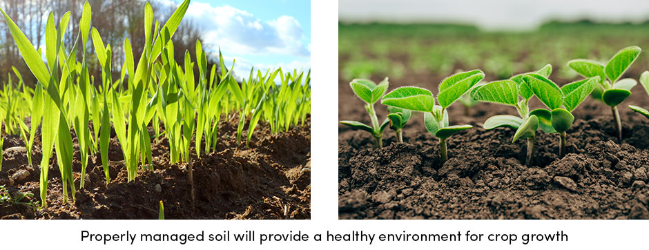 ensure-better-soil-performance-by-keeping-your-soil-healthy-2