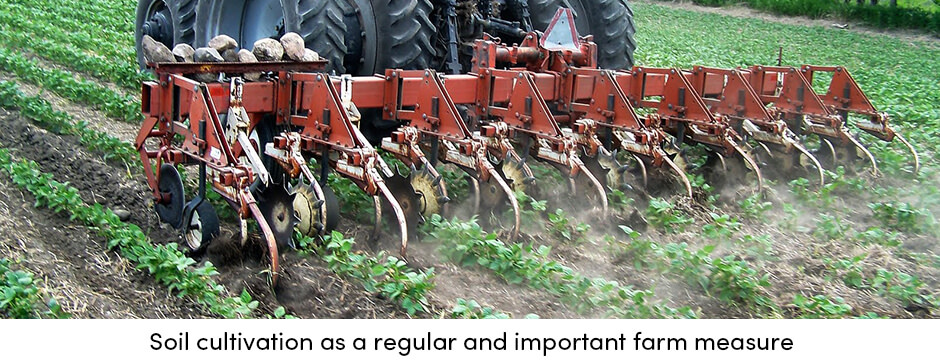 how-can-regular-crop-maintenance-provide-stable-yields3