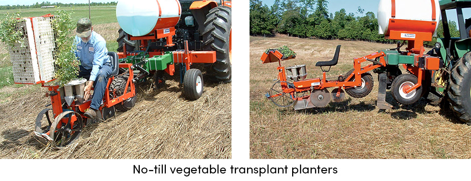 Vegetable Transplant Planter