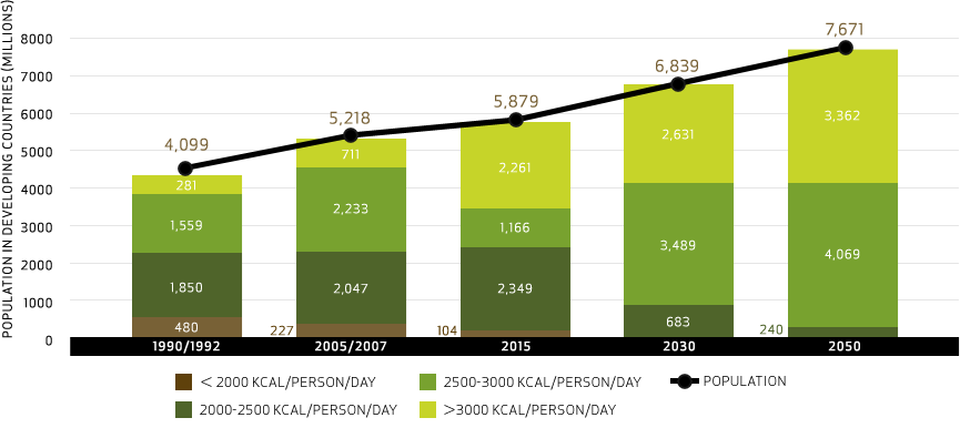 Per Capita Consumption