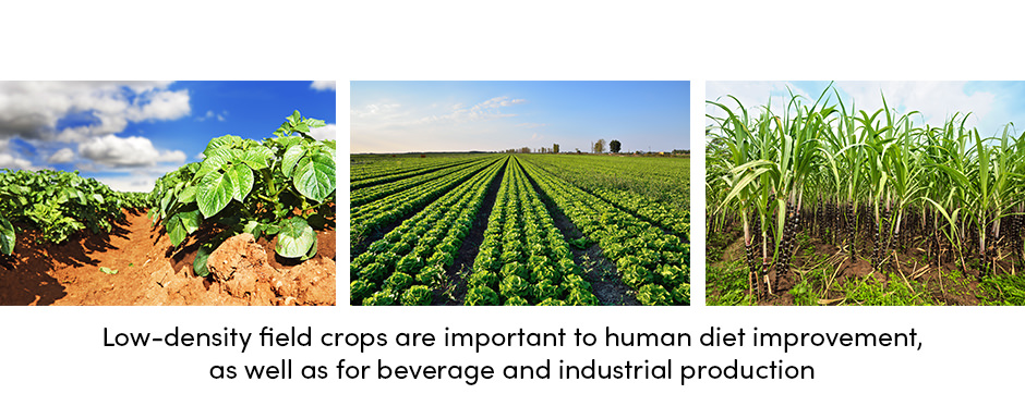 Low Density Field Crops