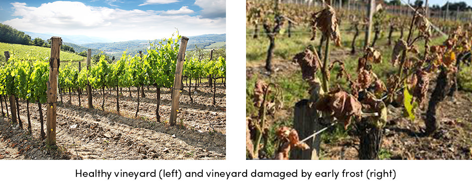 Turnkey Solution for Digital Agriculture3