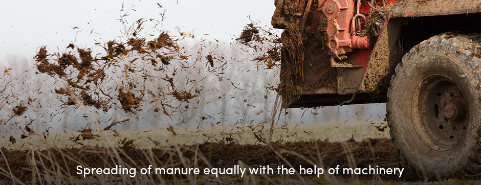 Tractor spreading manure