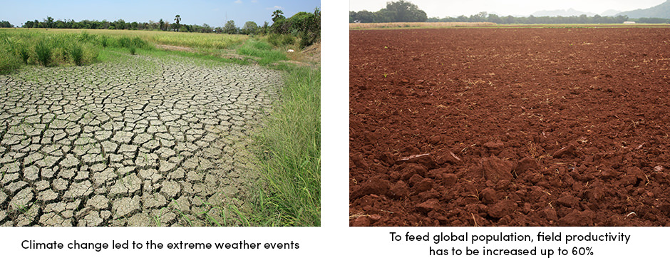 Turnkey Solution for Digital Agriculture1