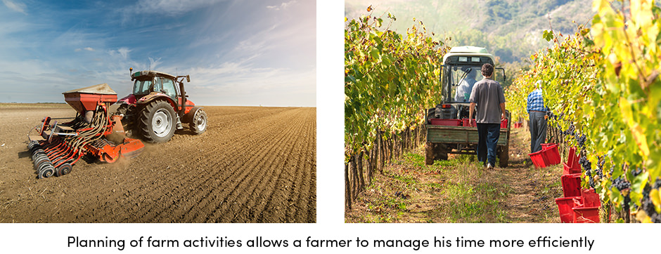 Organization Is the Key to Successful Farming4