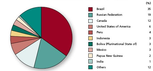 Ten Countries with the Largest Area of Primary Forest, 2010