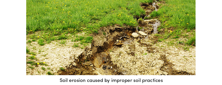 ensure-better-soil-performance-by-keeping-your-soil-healthy-3
