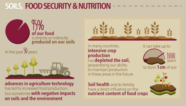 soil-nutrition