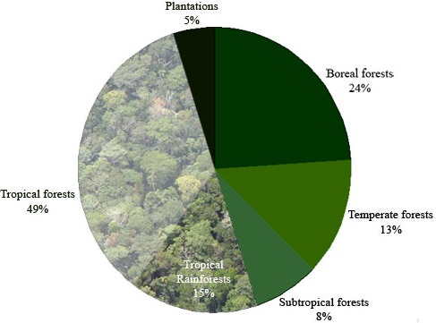 World Forest Cover 2000