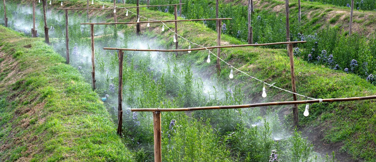 overhead spray irrigation
