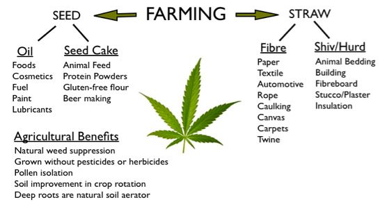 Use of hemp and its benefits