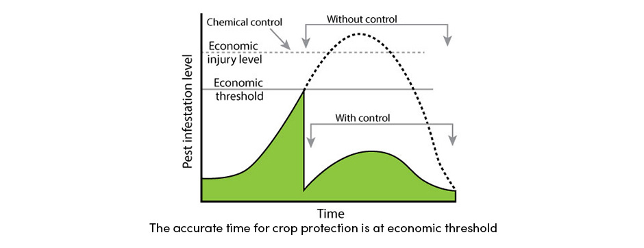 Pests Crop Protection