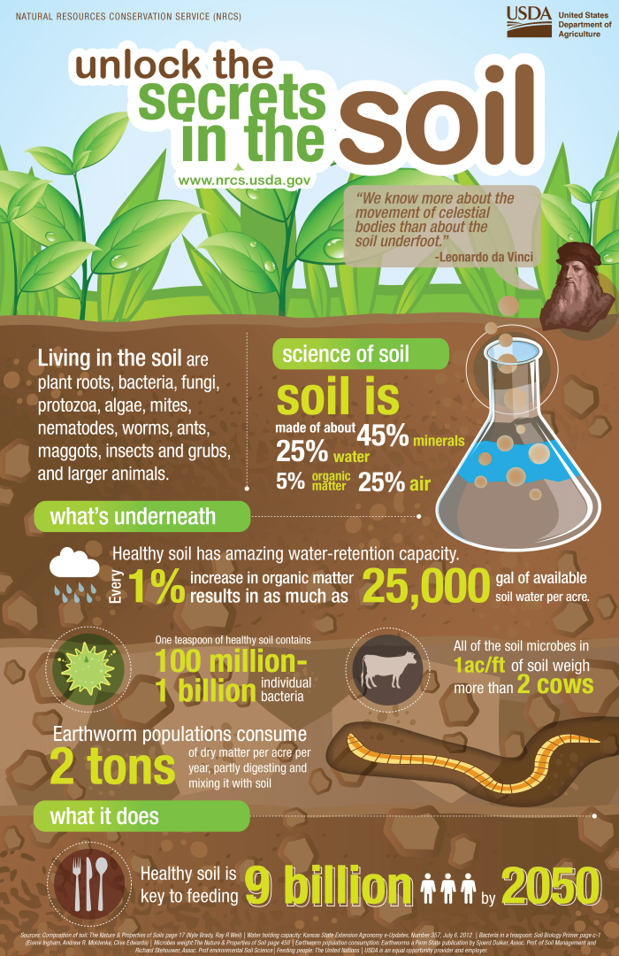 Unlock the Secrets of Soil