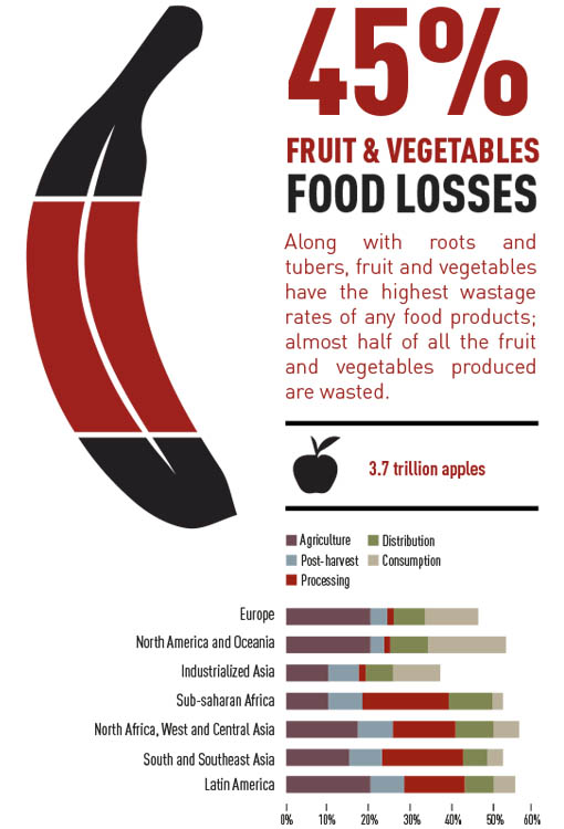 Food Loss Fruit and Vegetables