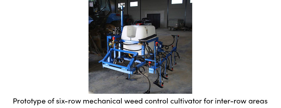 Six Row Weed Cultivator
