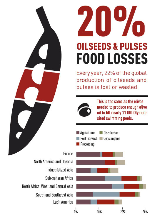 Food Loss Oilseeds and Pulses