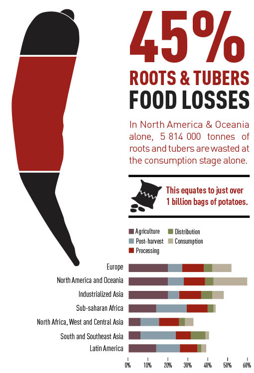 Food Loss Roots and Tubers