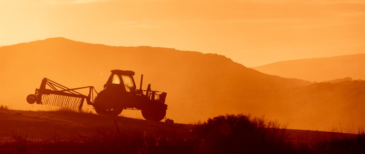 Tractor in a farm field at sunset. backlight warm tones
