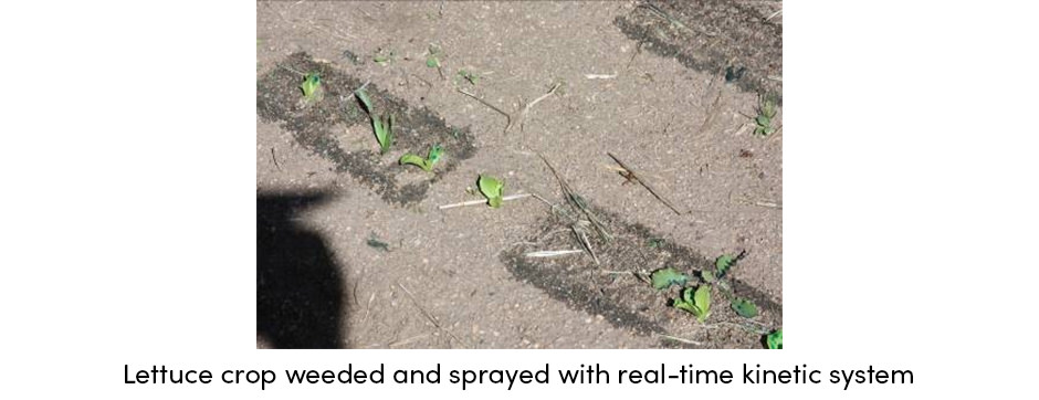 Real Time Kinetic System