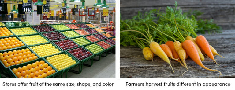 Food different appearance