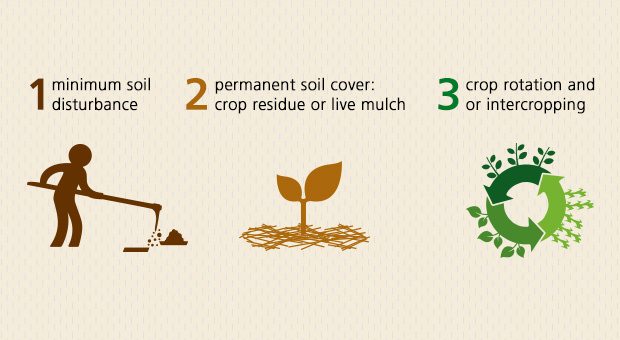 Convention Agriculture